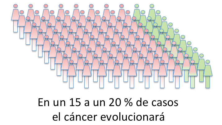 15 20 por ciento