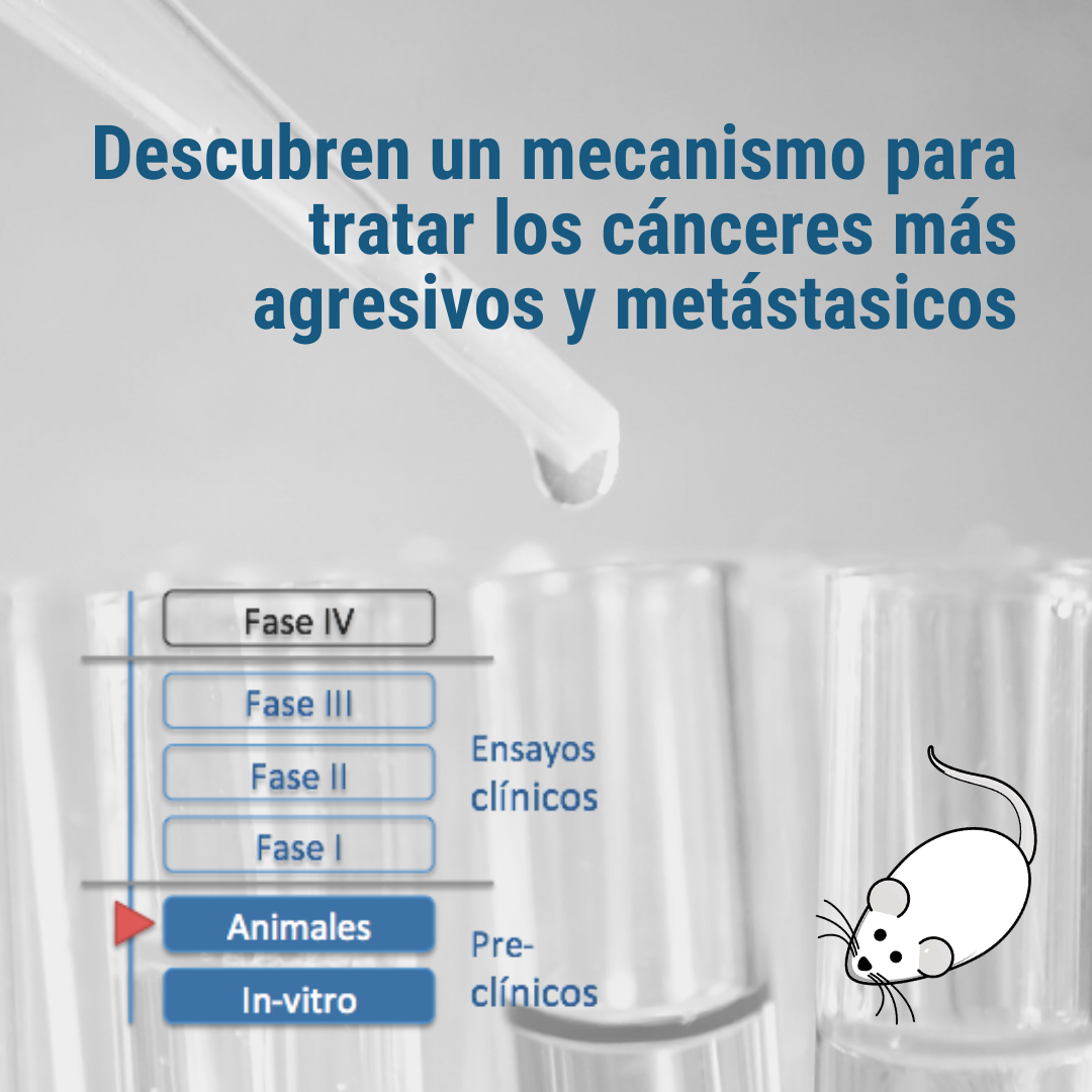 Descubren un mecanismo para tratar los canceres mas agresivos y con metastasisto