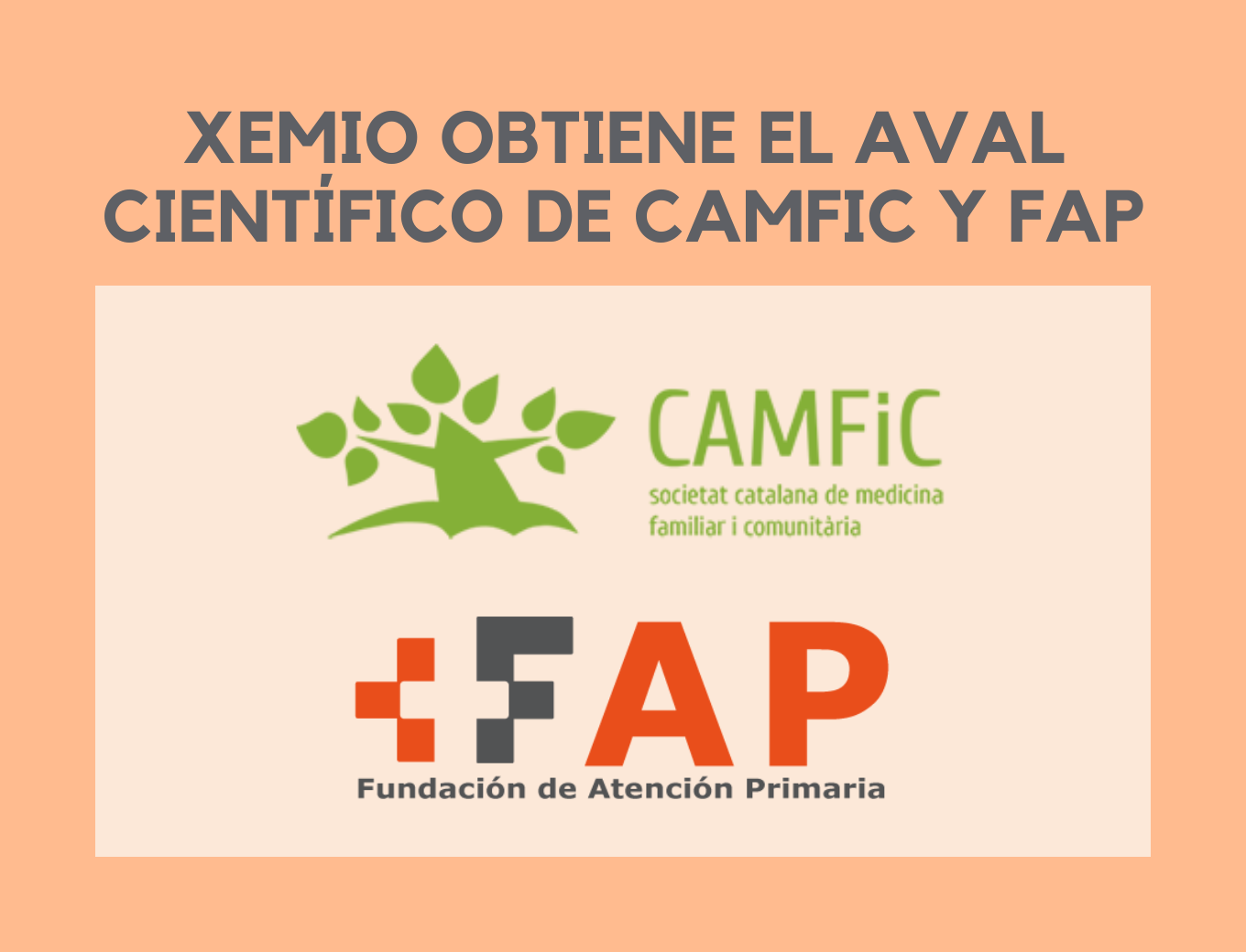 Plantilla imagen web camfic i FAP