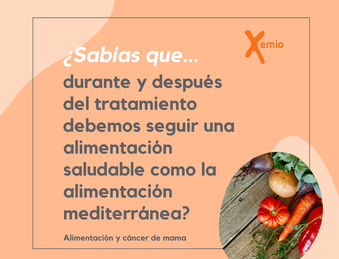 alimentación