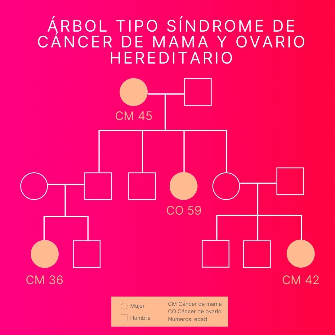 arbol tipo cancer hereditario xemio