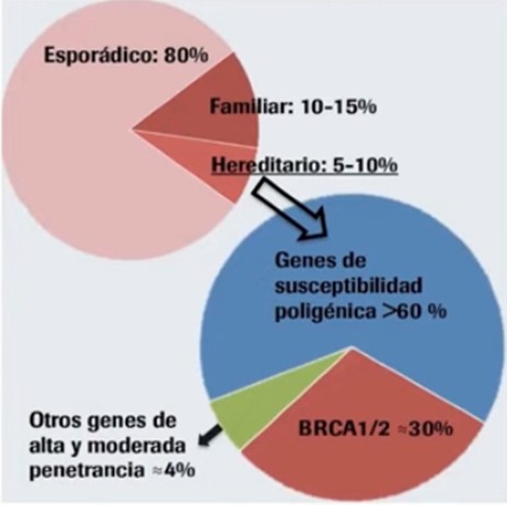 cancer de mama hereditario xemio