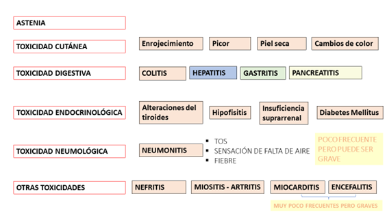 efectos immuno